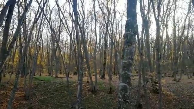 Осеннее настроение смотреть онлайн