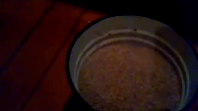 Чем я кормлю кур зимой