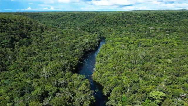 432 Hz Calming Music смотреть онлайн