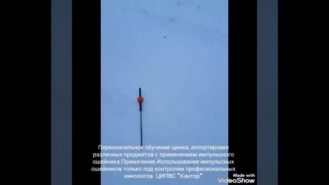 Обучение владельца собаки работе с импульсным ошейником. смотреть онлайн