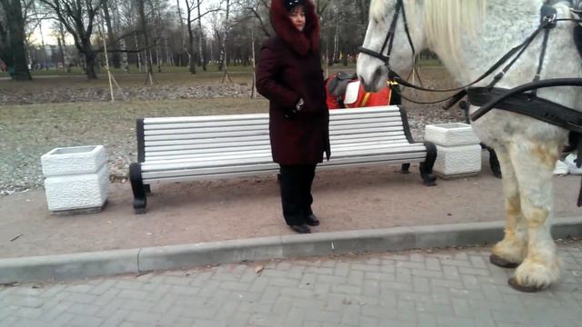 П258 - Парк Победы - день 8 - видео 19 - Немец опять офигевает в России смотреть онлайн