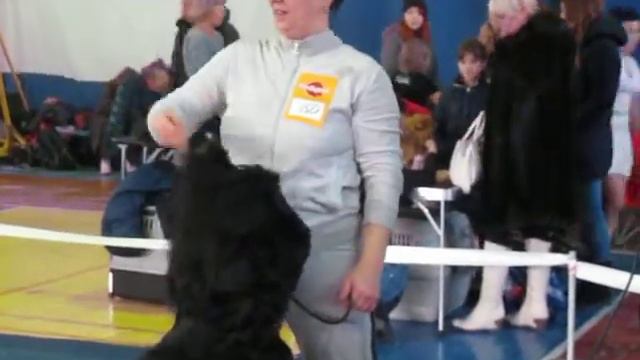 MVI 0421 смотреть онлайн