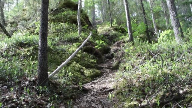Голубино. Экскурсионная программа смотреть онлайн