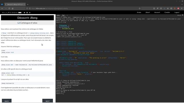 OPT-NC a son catalogue JBang! смотреть онлайн
