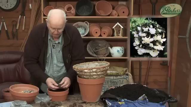 How to Plant Cascading Begonias: Hanging Basket Guide смотреть онлайн