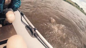 Рыбалка на Оке. Река Ока Клетино район Касимов Рязанской области на спиннинг и фидер. Щука, подлещи