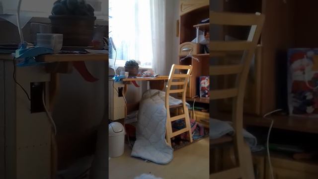 Эллочка сегодня дома- болеем ещё. .. но всегда можно найти чем заняться ) смотреть онлайн