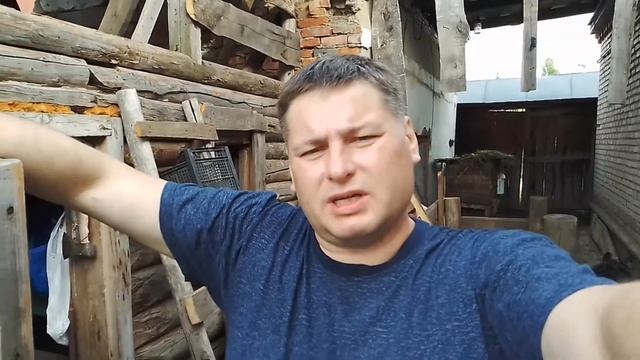 ОСМОТР ГНЕЗДА крольчихи после окрола.Как УХАЖИВАТЬ за ОКРОЛОМ.Можно ли трогать крольчат в гнезде. смотреть онлайн