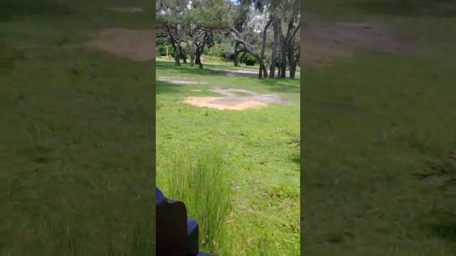 Jungle safari animal kingdom смотреть онлайн