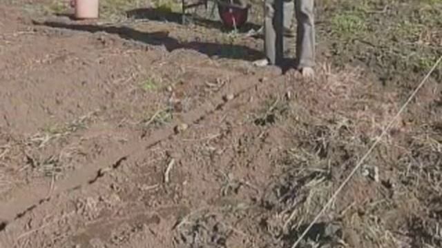 Ленивый огород (полная версия) смотреть онлайн