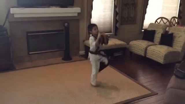 Kraig Red Dragon Karate Champion Form смотреть онлайн