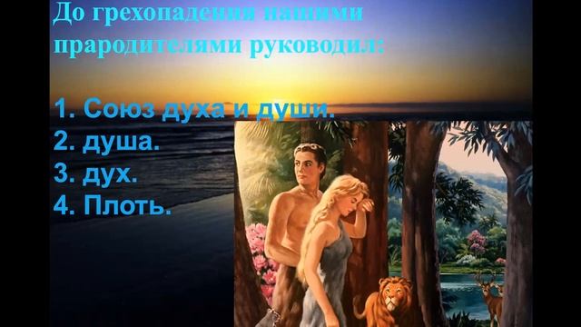 15.Школа Евангелия. Вопросы - ответы. В. Жуков. смотреть онлайн