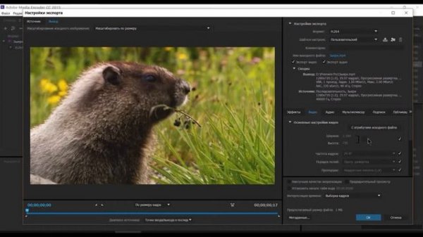 О программе Adobe Media Encoder