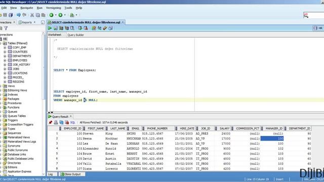 Oracle Veritabanı : SELECT ile NULL olan ve NULL olmayan kayıtların seçilmesi смотреть онлайн
