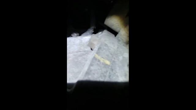 Мастерская чистки