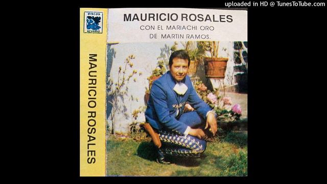 Mauricio Rosales - Corazonada смотреть онлайн