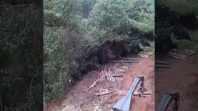 3 Wheel Dirker Logger / Log Handler смотреть онлайн