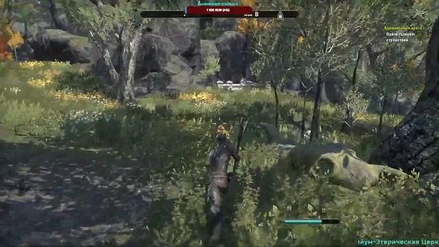 Стрим The Elder Scrolls Online.№0. Начало. жадность и любопытство в обучалке. смотреть онлайн