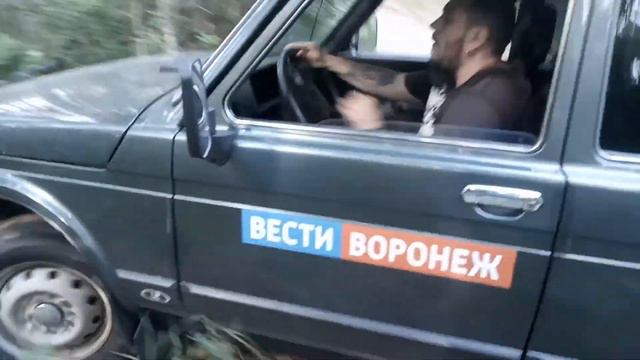 Длинная нива объезжает дерево в лесу смотреть онлайн