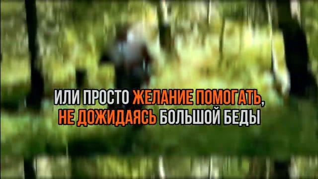 «ЛизаАлерт» — 9 лет! смотреть онлайн