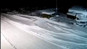 Топ 7 жутких видео нападений волков