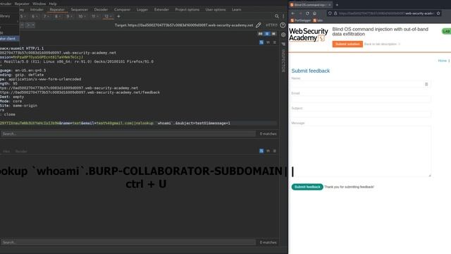 5. Blind OS command injection with out-of-band data exfiltration смотреть онлайн