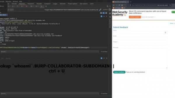 5. Blind OS command injection with out-of-band data exfiltration