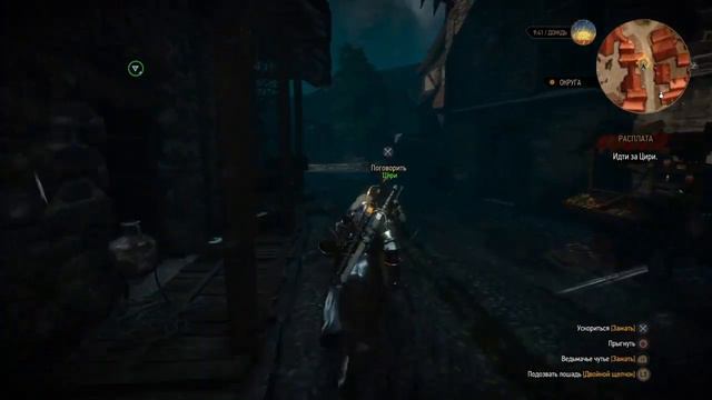 The Witcher 3: Wild Hint (Platinum Walkthrough) #46 смотреть онлайн