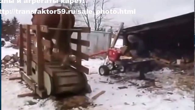 Лошадь - генератора, прикол смотреть онлайн