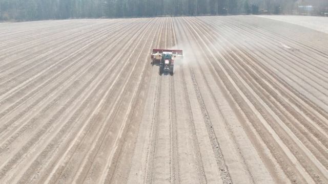 Grimme GL 660 - шестирядная картофелесажалка в работе смотреть онлайн