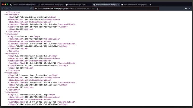 Selenium python webdriver-manager - auto download browser drivers смотреть онлайн
