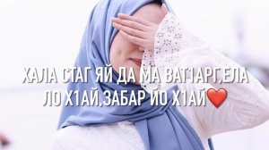 Хаза ю хьо,хаза хилар совнах ма аьхь доцуш ю хьо🥰