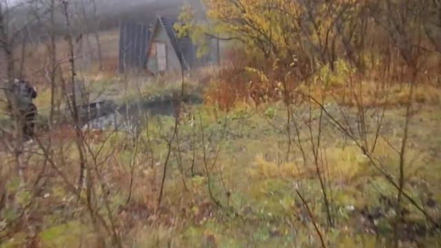 Нижне-Жировские горячие источники, правобережная дикая группа (поход Камчатка 2021) смотреть онлайн