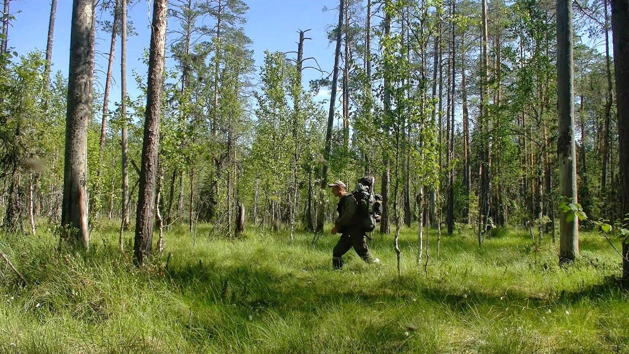 Рыбалка на небольшой речке #424 смотреть онлайн