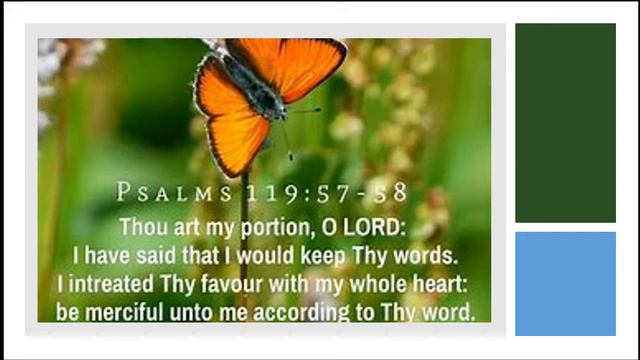 Psalm 119 verse 55 to 56 Recognizing our Creator смотреть онлайн