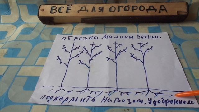 Как ПРАВИЛЬНО ОБРЕЗАТЬ МАЛИНУ Весной. смотреть онлайн