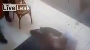 Кошка напала на человека l Кошка очень сильно поцарапала человека