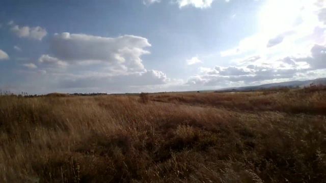 ГДЕ МНОГО МЕТАЛЛА/КОП 2020/ФЕРМА ИЛИ ПОВЕЗЛО смотреть онлайн