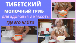Тибетский молочный гриб?Для здоровья и красоты?Где приобрестиТибетский молочный гриб.mp4