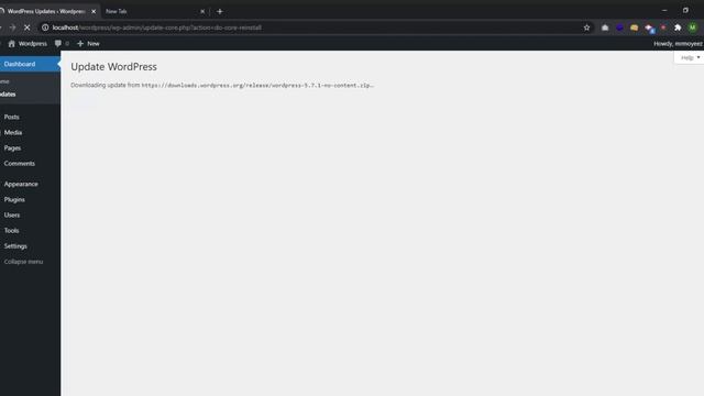 How to Update WordPress website to new version of website | Moyeez Academy смотреть онлайн