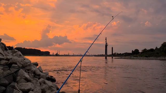 Приятный вечер на реке Рейн. Заход солнца. Видео с приятной музыкой. Рыбалка на Рейне. 4К видео. смотреть онлайн