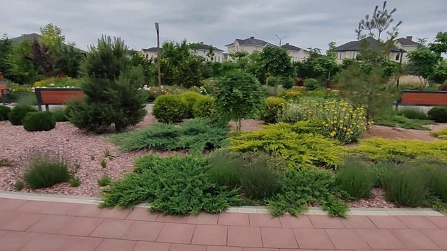 Вновь в парке неделю спустя. Смотрим что цветет смотреть онлайн