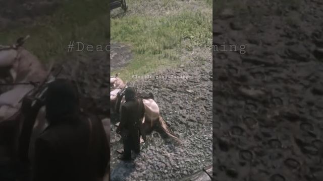 WTF MOMENTS | Red Dead Redemption 2 #reddeadredemption2 #funnyvideos #rdr2 #viralvideos #rdr2horses