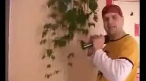 Весёлые уроки чувашского языка 2 - Приветствие