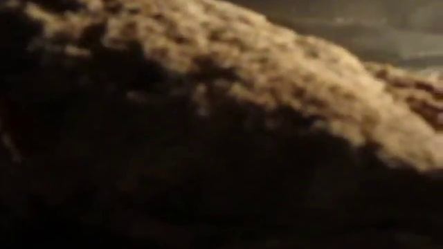 "Лещ, запечёный в духовке с солью и чесноком, не потрошёный!" смотреть онлайн