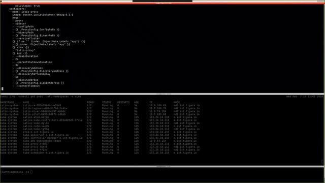 Istio - Use Cases and Deployment Scenarios - Cloud Native Primer Series смотреть онлайн