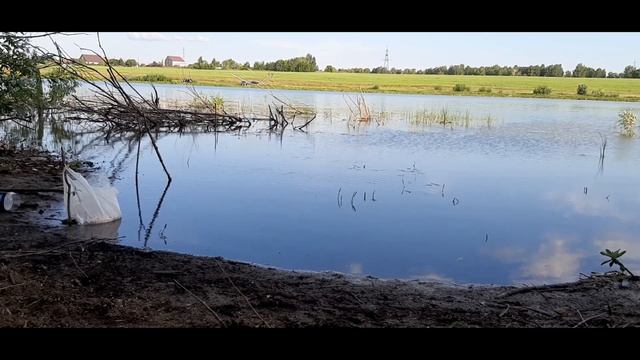 #Рыбалка на природе 2022 #Озеро в деревне смотреть онлайн