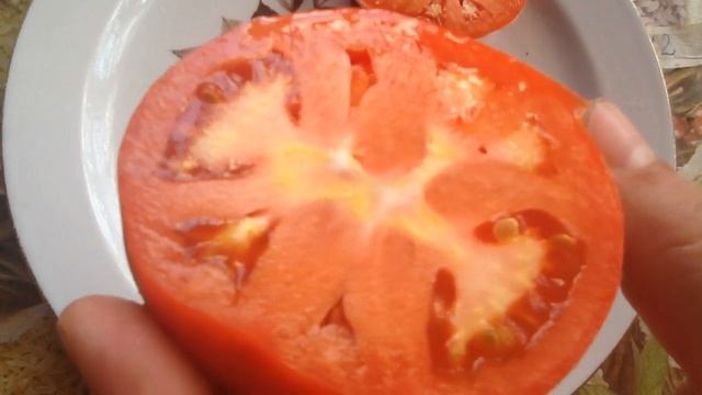 Томат "Суперклуша". Дегустация. смотреть онлайн