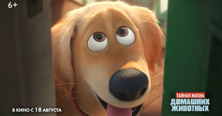 Тайная жизнь домашних животных 2016 (ТВ - ролик) смотреть онлайн