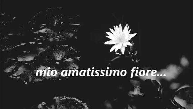 Rap - Amatissimo Fiore (Pepe & Fabio) смотреть онлайн